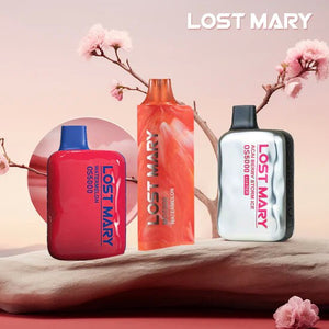 Lost Mary