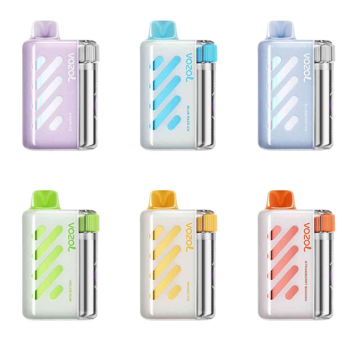 VOZOL Vista 40K Disposable Vape 40000 puffs with 20ml pre-filled e-liquid at MistVapor.
