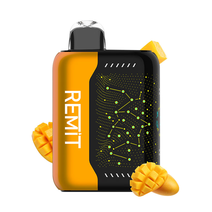 REMIT Disposable Vape with 820mAh Rechargeable Battery and Fast USB-C Charging