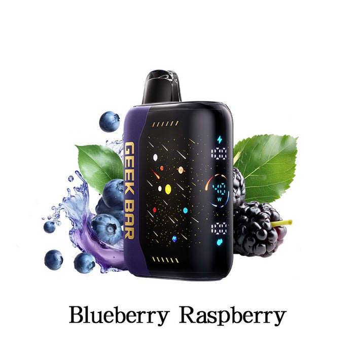 Geek Bar Pulse X DTL 25K disposable vape with USB Type-C fast charging at MistVapor Online Vape Shop