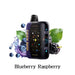 Geek Bar Pulse X DTL 25K disposable vape with USB Type-C fast charging at MistVapor Online Vape Shop