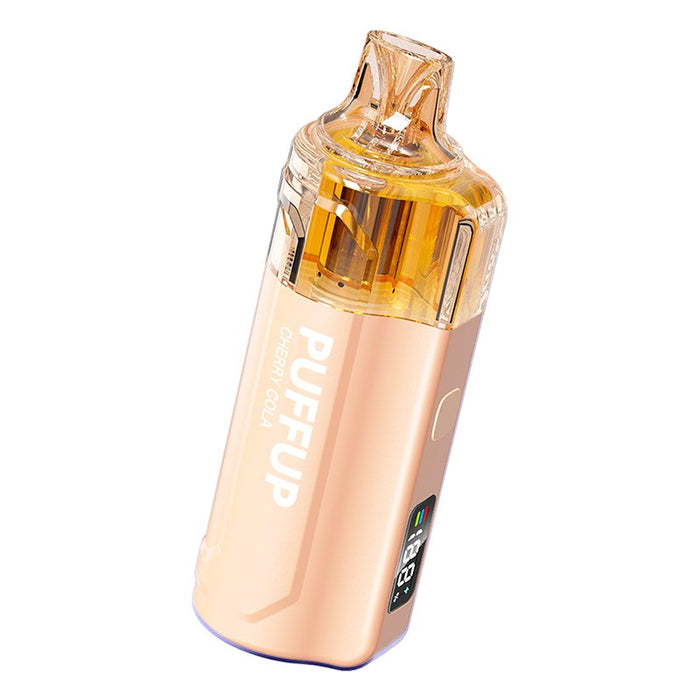 Puffup 25K disposable vape in Blackberry Ice flavor – premium rechargeable disposable vape USA