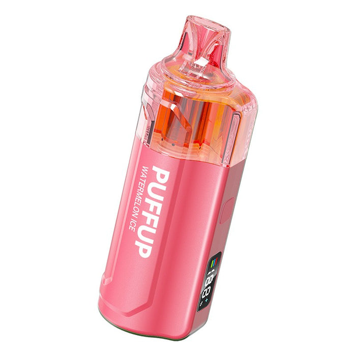 Puffup 25K disposable vape with rechargeable 800mAh battery and USB Type-C charging – long-lasting disposable vape pen