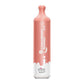 Fire Float 0 Nicotine Disposable Vape 3000 Puffs-Disposable Vape-mysite-Strawberry Banana-MISTVAPOR