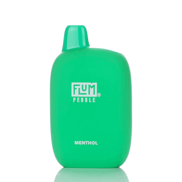 Flum Pebble Rechargeable Disposable Vape Kit 6000 Puffs 5%-Disposable Vape-mysite-Menthol-MISTVAPOR